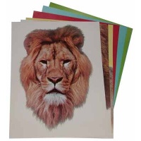 Caras de los Animales - Papel