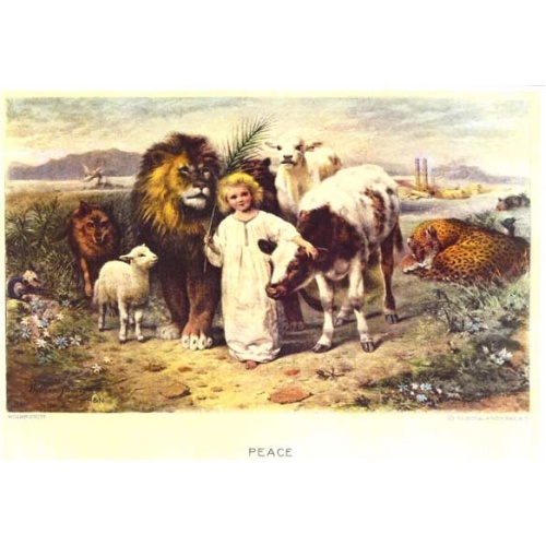 peace-picture.jpg